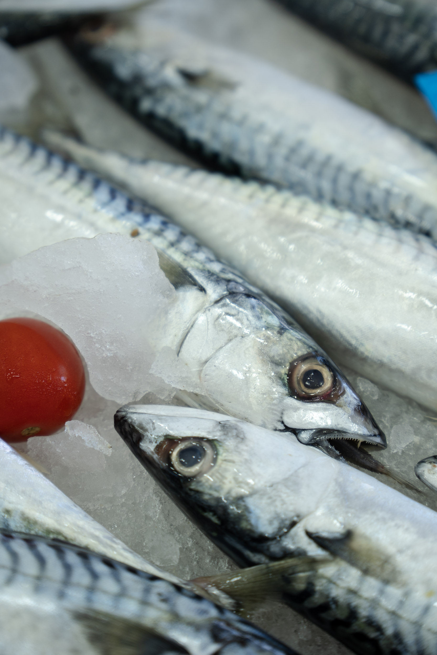 Specialità di mare 1