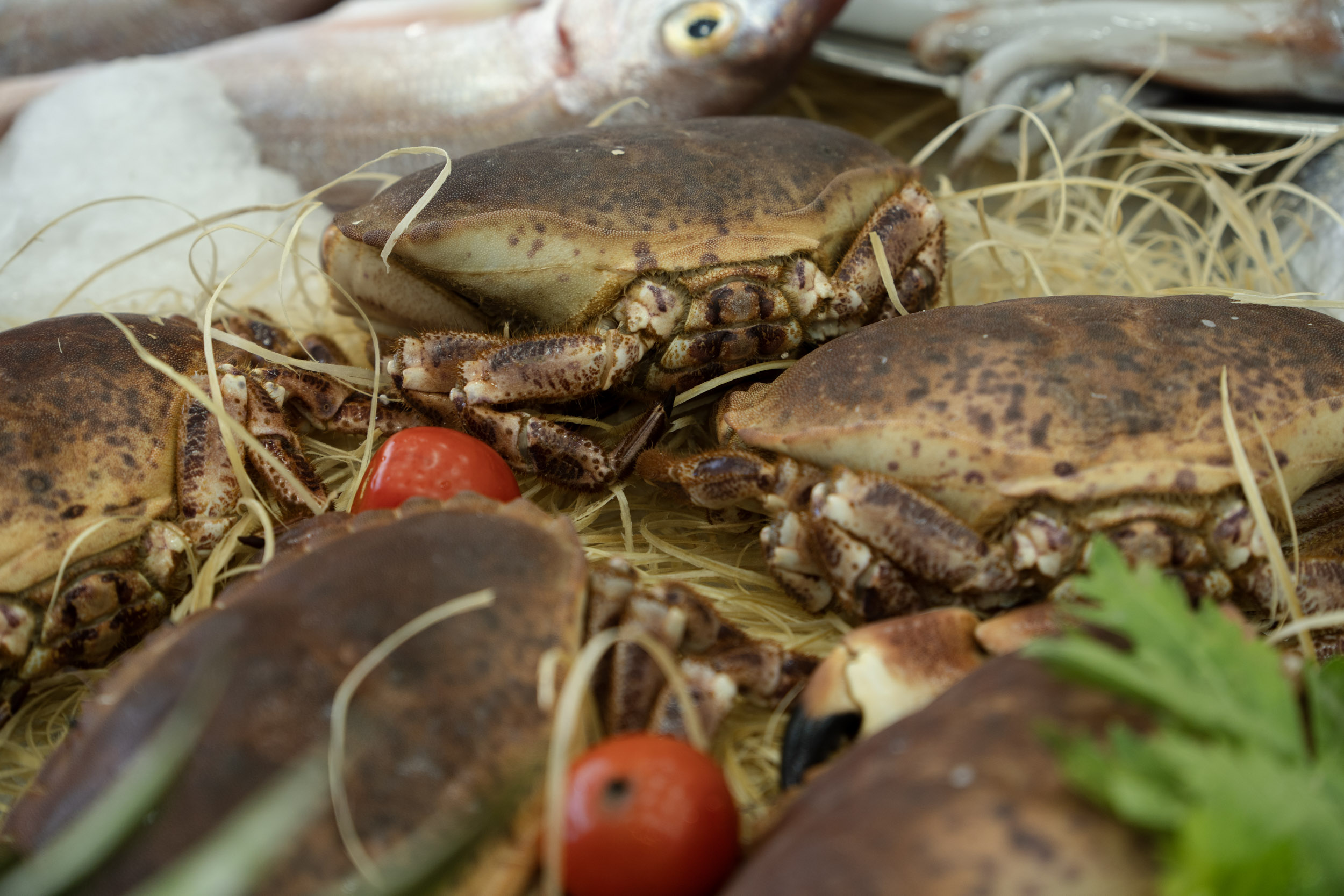 Specialità di mare 2